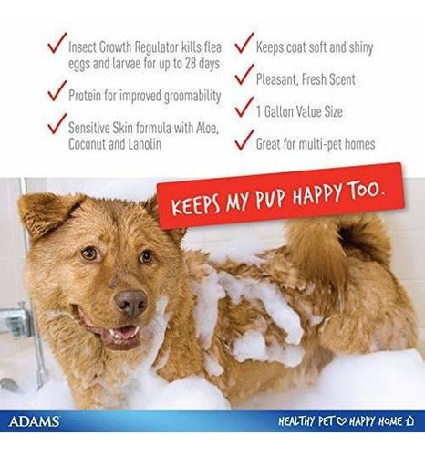 Champú Adams Plus Para Pulgas Y Garrapatas Para Perros Y