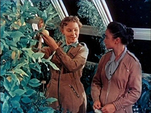 Camino A Las Estrellas