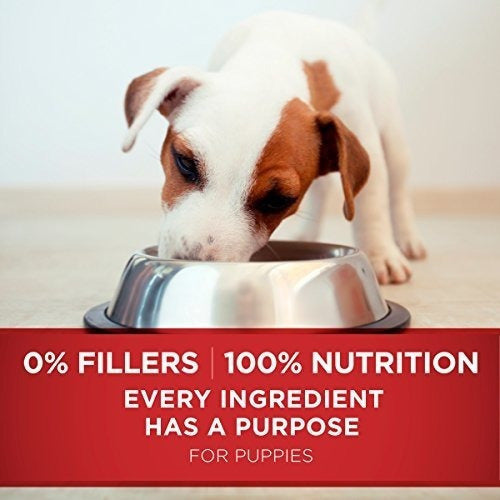 Purina One Alimento Para Perros Seco Con Fórmula De Fórmula