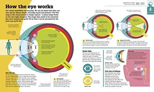 Cómo Funciona El Cuerpo: Los Hechos Simplemente Explicados