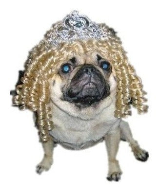 peluca para disfraz De Perro