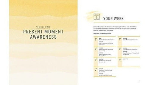 El Libro De Trabajo De Mindfulness Para La Ansiedad