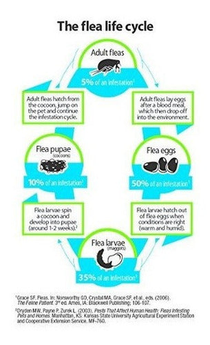 Spray Para Alfombras Y Tapicería Para Pulgas, Garrapatas Y