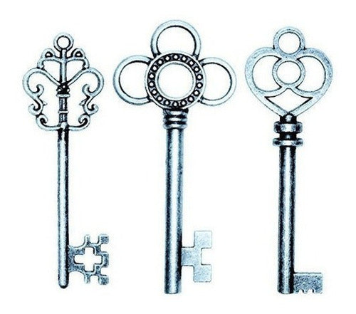 Idea Salomé: Conjunto Mixto De 30 Llaves Maestras Grandes