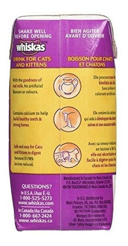 leche Para Gatos Y Gatitos