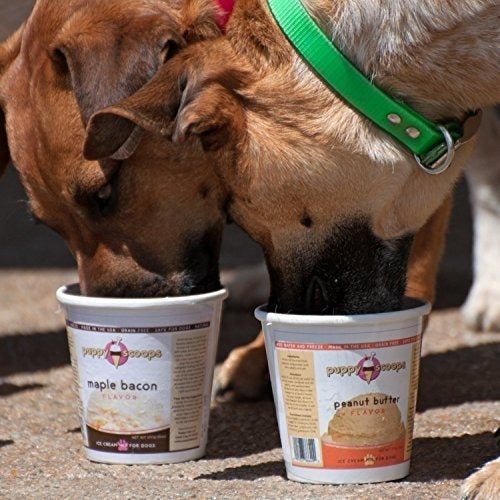 alimentos Para Perros