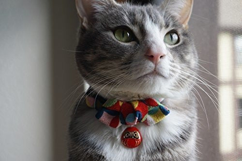 Collar De Gato Necoichi Daruma Charm Bow Tie (rojo)