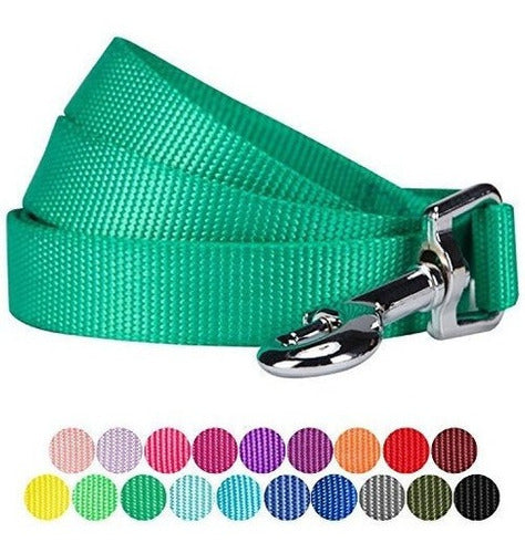 Blueberry Pet 19 Correa Para Perros Clásica Y Duradera De 5