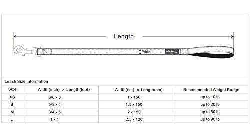 Blueberry Pet 19 Correa Para Perros Clásica Y Duradera De 5
