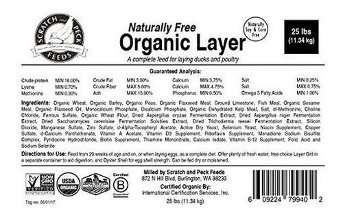 Alimentos Para Rascar Y Picotear Alimento Orgánico En Capas