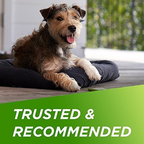 Frontline Plus Para Perros Medianos 23-44 Libras