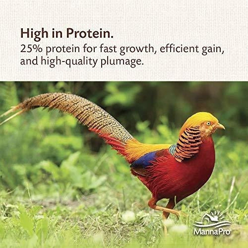 Manna Pro Gamebird Showbird Se Desmorona, 5 libras