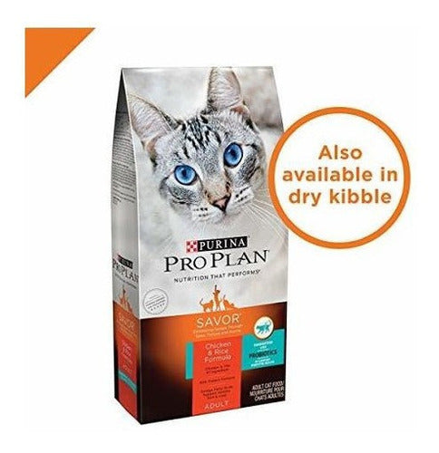 Comida húmeda para gatos enlatada