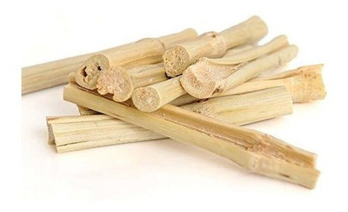 Bambú Dulce para mascotas