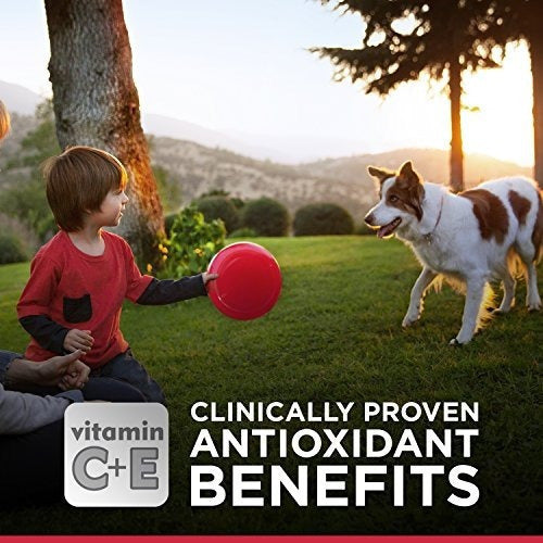 Suplemento Alimenticio para Perros Adulto