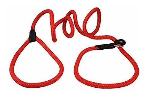 Collar Y Correa para perros