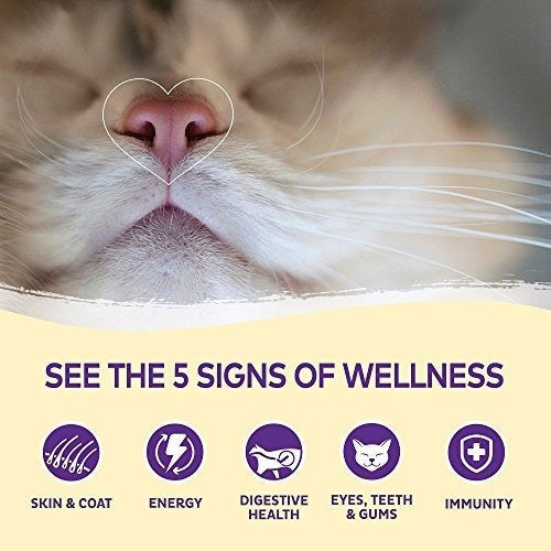 Golosinas Para El Gato De Wellness Kittles