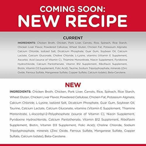 comida saludable para gatos