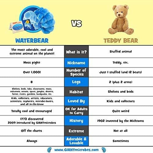 Microbillos Gigantes