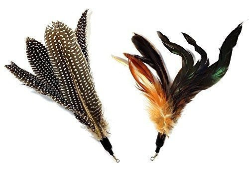 Pet Fit For Life 2 Teaser Y Ejercitador De Plumas Para Gatos