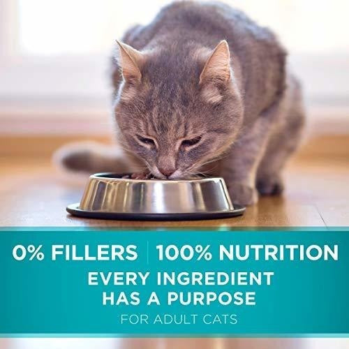 Comida para gatos para adultos