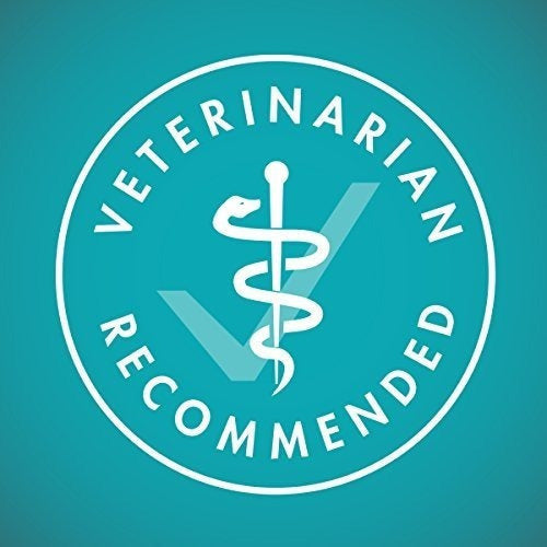 Comida para gatos para adultos