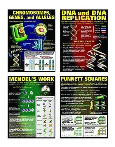 carteles de ADN y herencia de McDonald Publishin, Libro