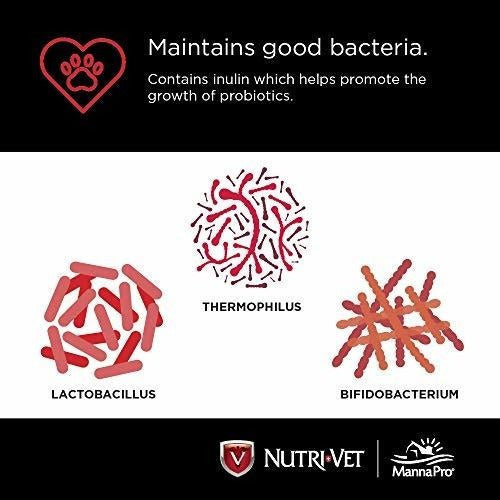 suplementos Para Perros