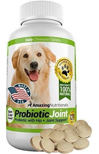 Los Probióticos Sorprendentes Para Perros Eliminan La