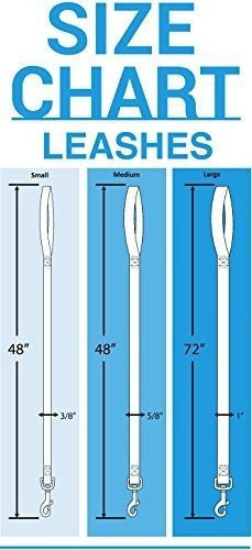 Mlb Saint Louis Cardinals Correa Para Perro