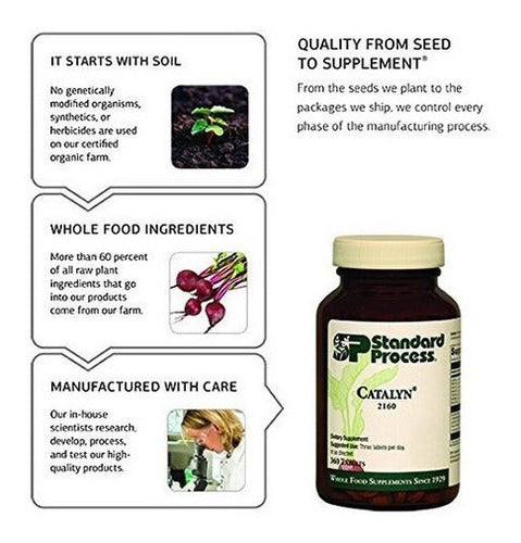 Proceso Estándar - A-f Betafood - Suplemento Digestivo Sin