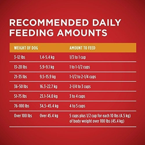 Alimento Para Perros Seco Para Adultos