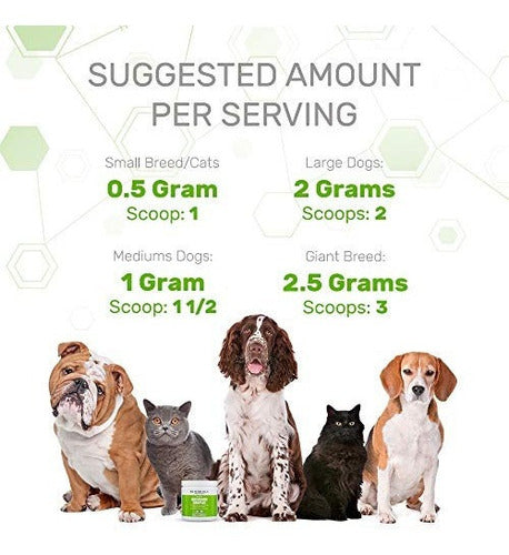 Complejo De Hongos Orgánicos Para Mascotas 2.1 onzas 60 g