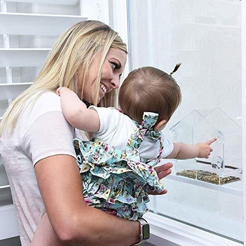 Comedero para pájaros en la ventana