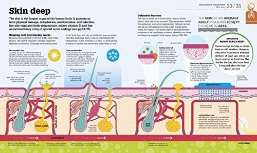 Cómo Funciona El Cuerpo: Los Hechos Simplemente Explicados