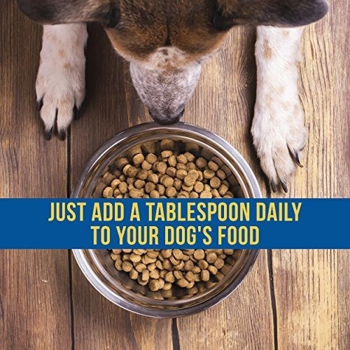 Shed-x Dermaplex Suplemento Diario Líquido Para Perros