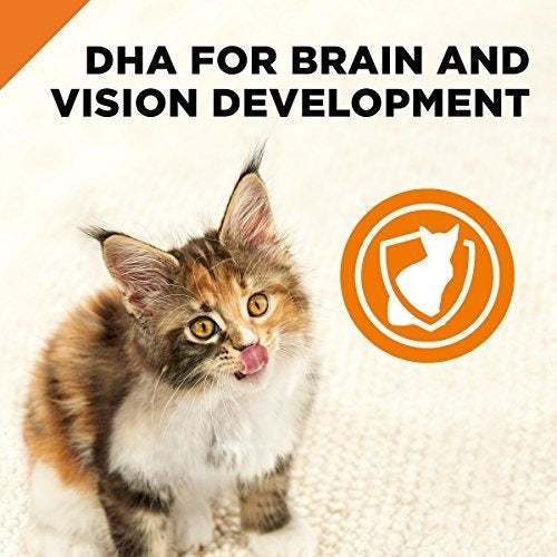 Alimento Para Gatitos Húmedos De Salmón