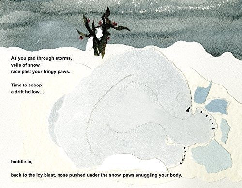 Libro Gran Oso Polar