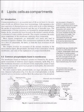 Fundamentos De La Biología Química (oxford Chemistry