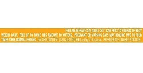 comida De Pollo A La Parrilla Y Carne para gatos