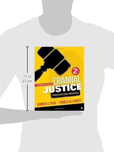 Introducción A La Justicia Penal Práctica Y Proceso