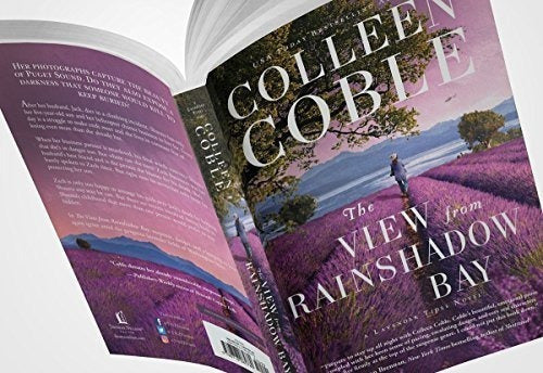 La Vista Desde La Bahía De Rainshadow una Novela De Las