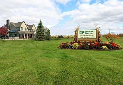 Proceso Estándar Albaplex 90 pastillas