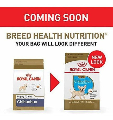 Royal Canin Breed Health Nutrition Perrito Seco Para Perros