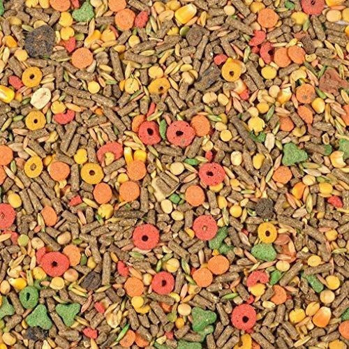 Dieta de nutrición avanzada de Wild Harvest para conejillos