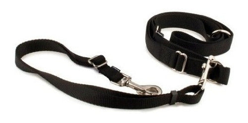 CORREA DE PERRO Negro