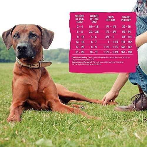 Alimento Seco Para Perros De Grano Natural