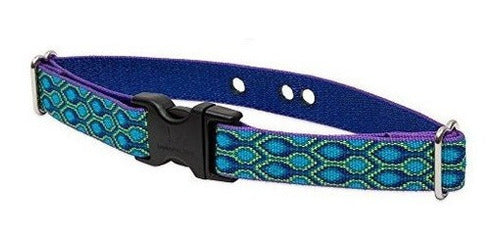 Correa Para Collar De perro