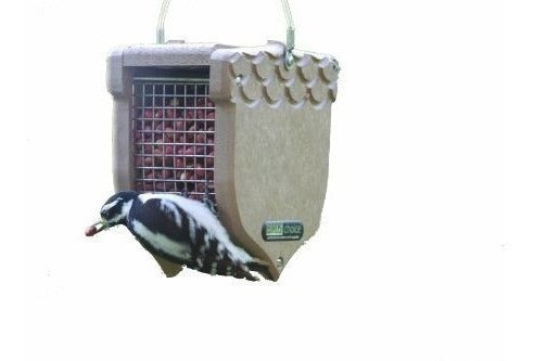 Alimentador De Cacahuete En Forma De Bellota De Birds