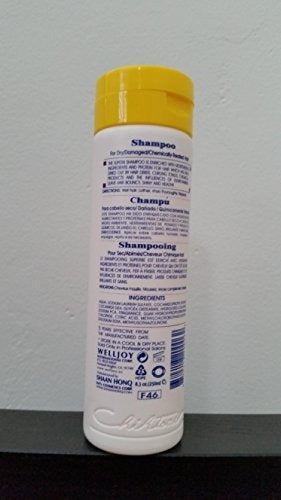 champu para pelo seco